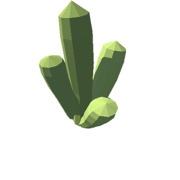 Cactus 07